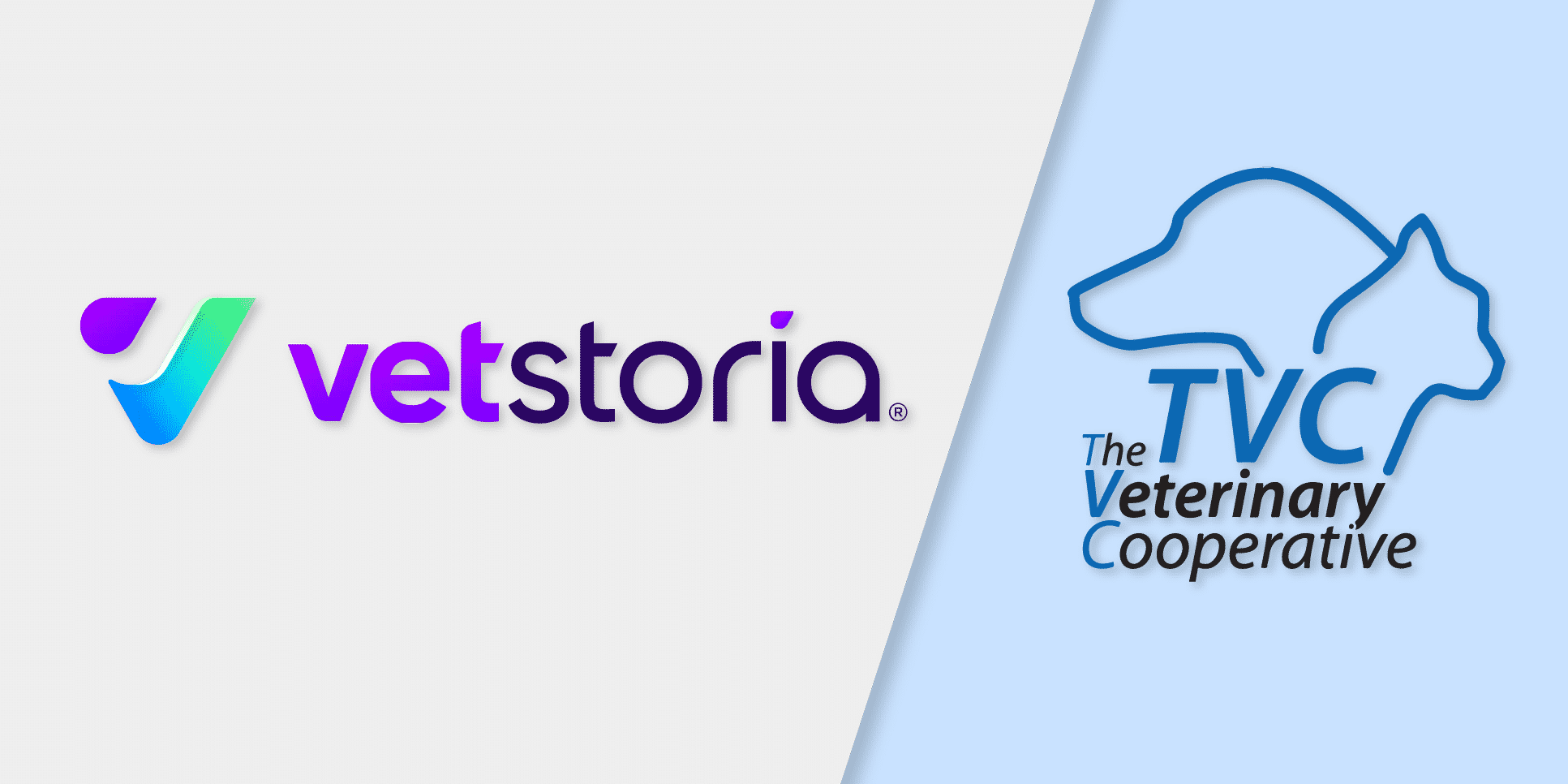 featured image vetstoria tvc partnership@2x