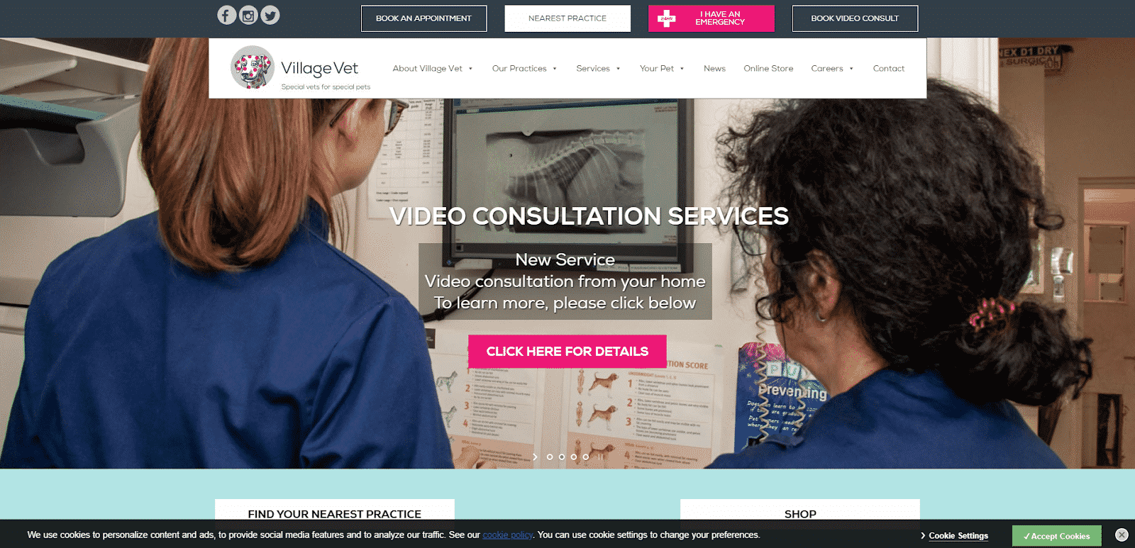 Video consultation screenshot practice