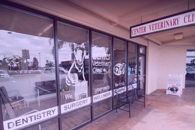 center veterinary clinic