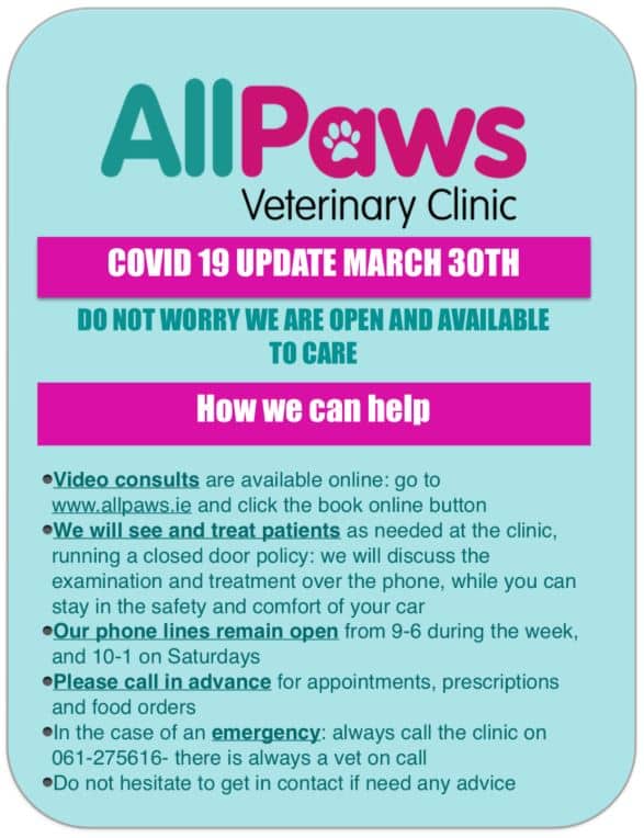 All Paws notice board