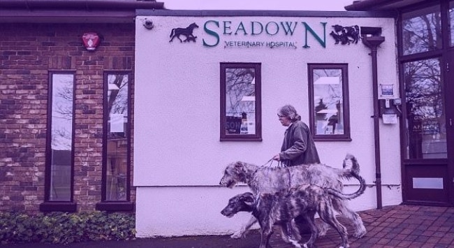 Seadown Case study