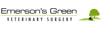 Emersons Green Logo