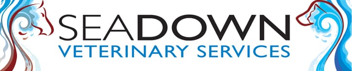 seadown logo