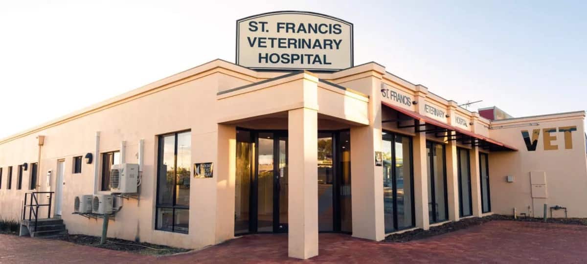 St. Francis Veterinary Hospital Goes Live With Vetstoria Within 72