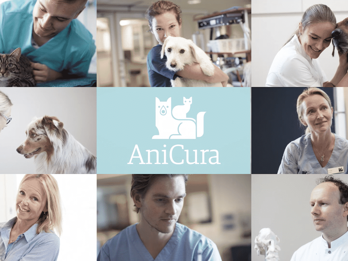 Anicura header image