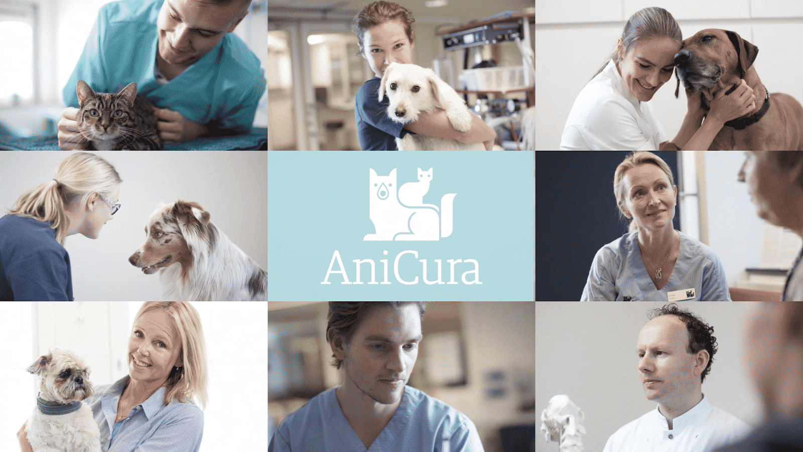 Anicura header image