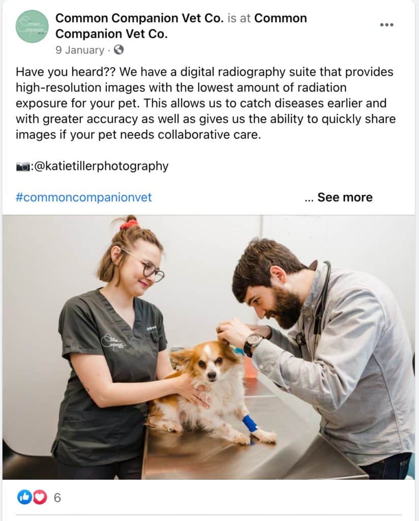 Common Companion Co - Behind the Scenes - Facebook