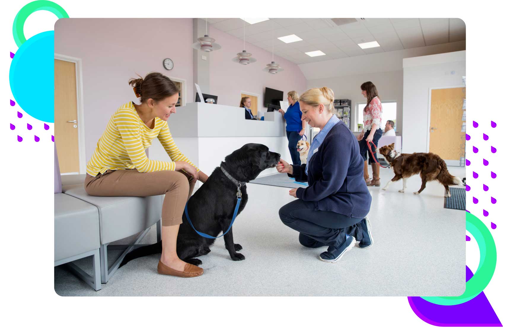 Veterinary Practice Owners & Managers
