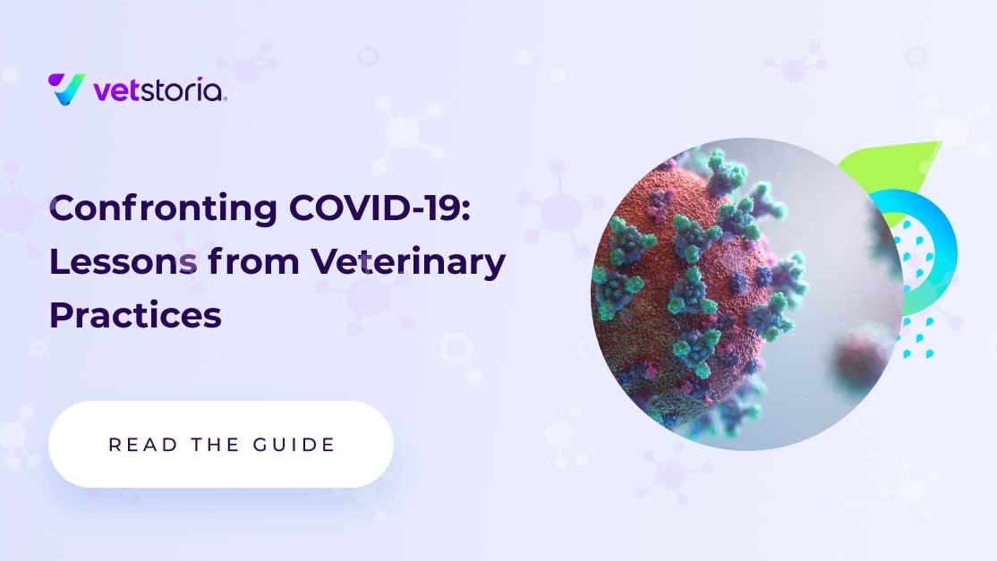 Lessons From COVID Guide - Vetstoria