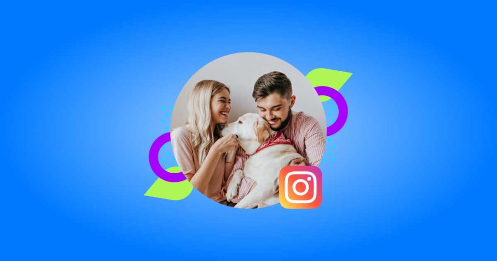 Veterinary Influencers on Instagram - Vetstoria