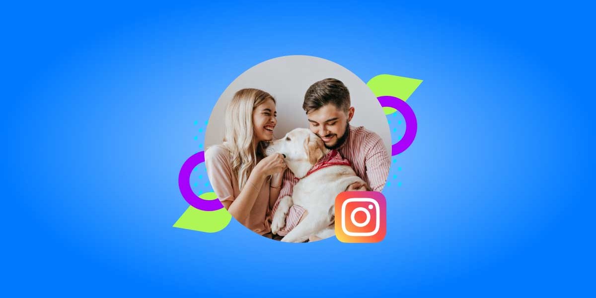 Veterinary Influencers on Instagram - Vetstoria