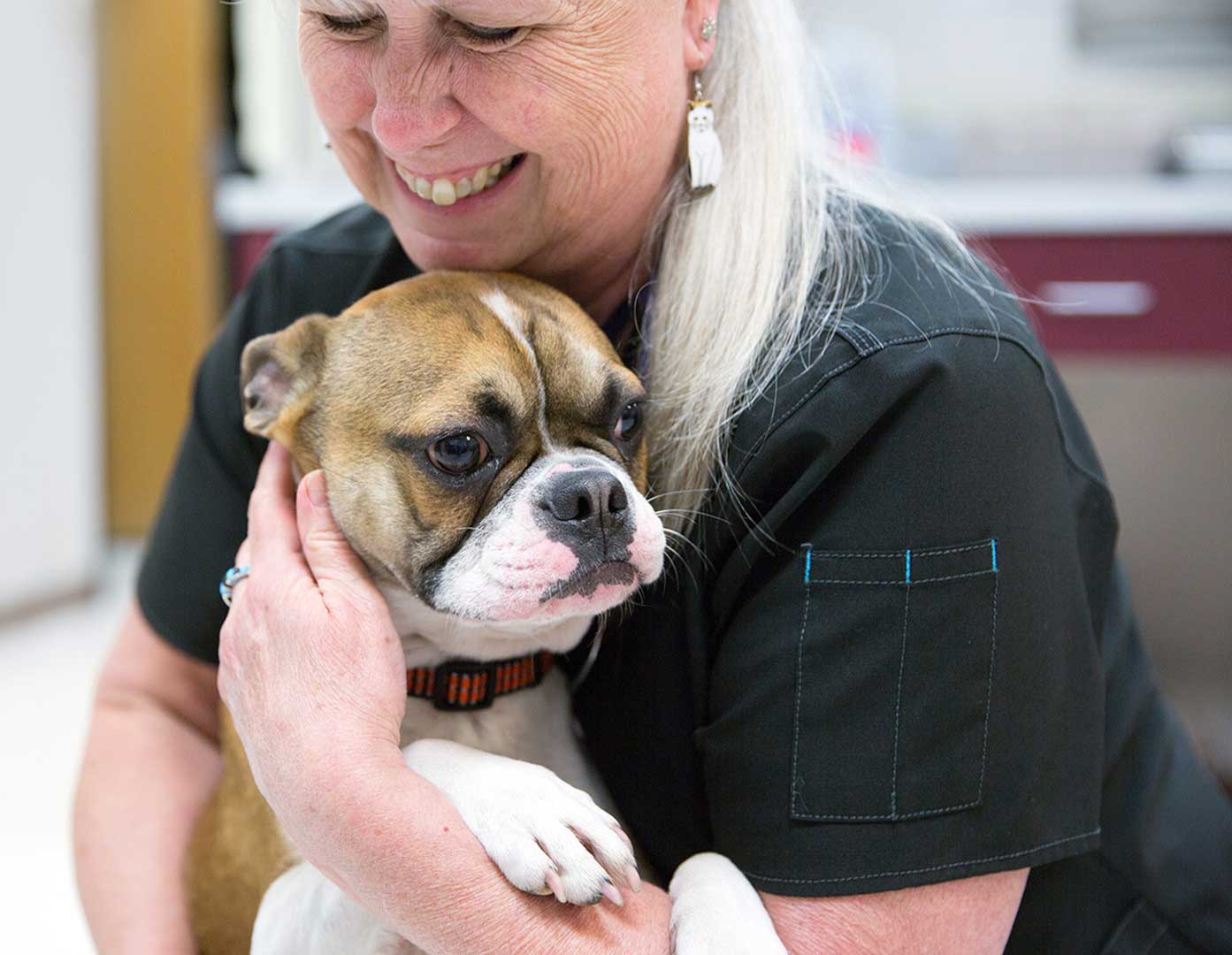 Lakefield Veterinary Group - Header