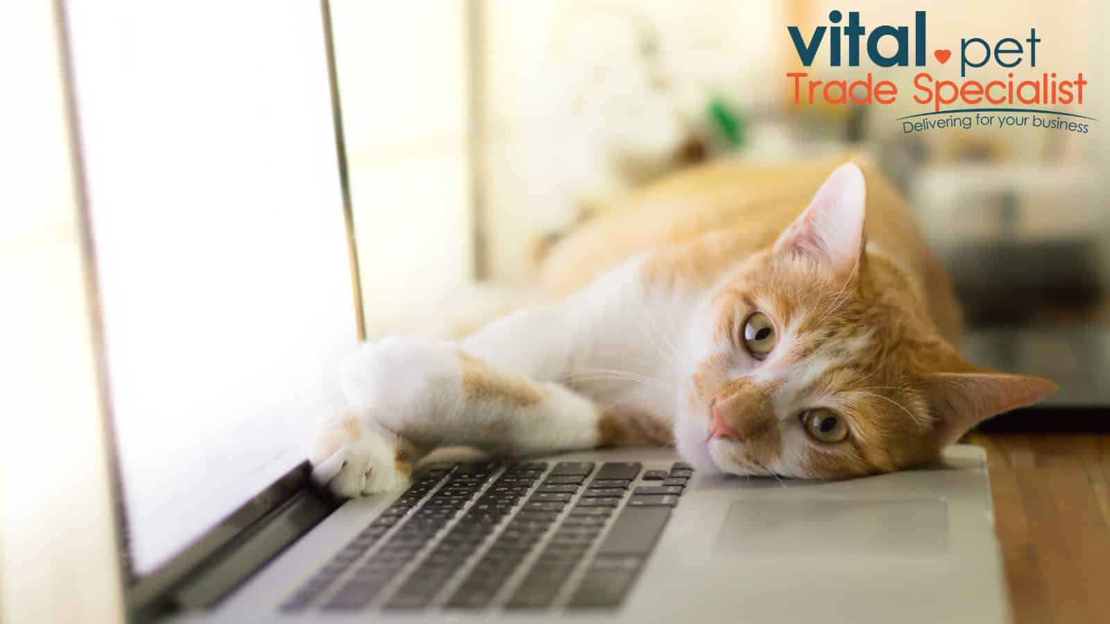 vital pet featured image