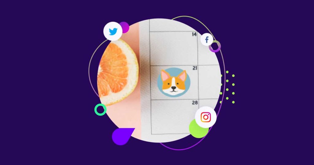 Vet Holidays 2021 The Ultimate List for Social Media LaptrinhX / News