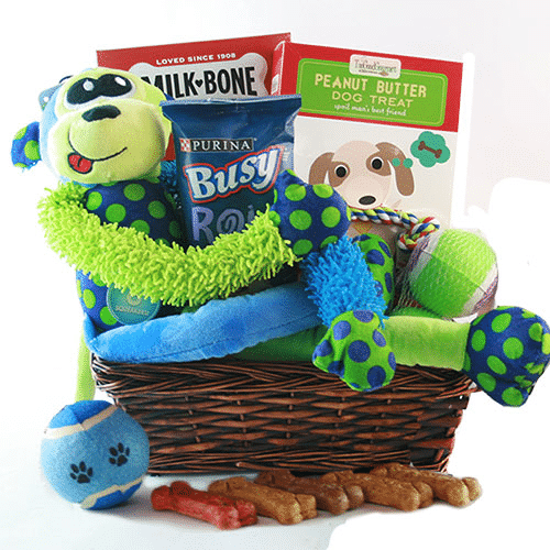 Veterinary Equipment - Treat and toy basket