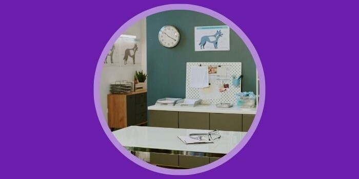 Veterinary Equipment List You Need When Setting Up Your Clinic - Vetstoria blog