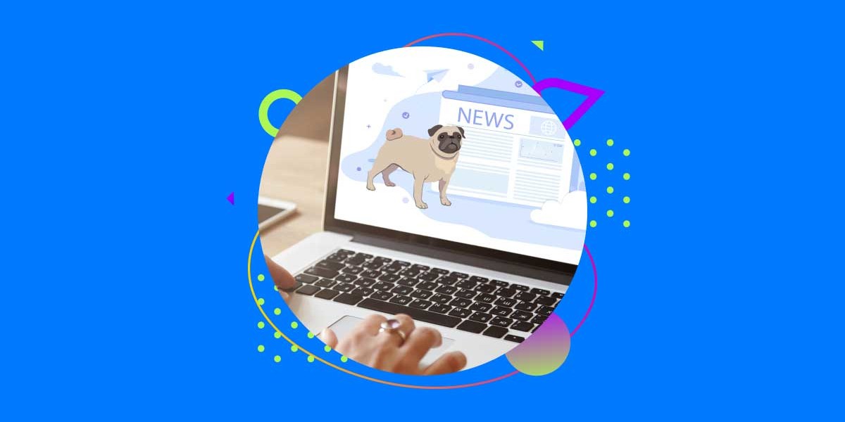 Veterinary News: Top 5 Sites You Should Follow to Stay Updated