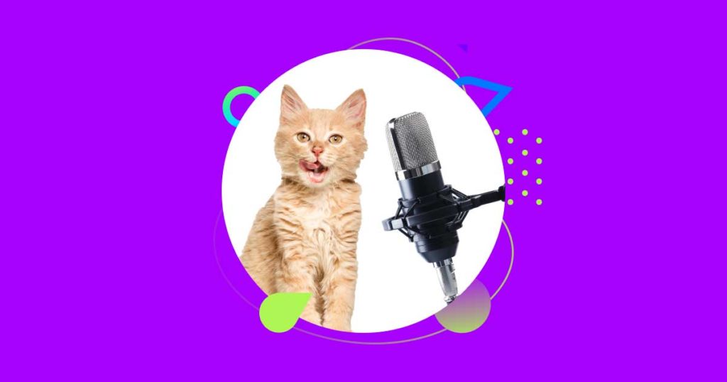 Veterinary Podcast: The Top 8 Informative Podcast Sites You Must Follow