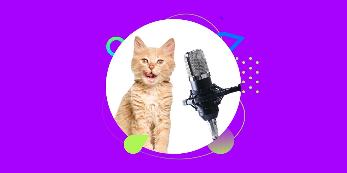 Veterinary Podcast: The Top 8 Informative Podcast Sites You Must Follow