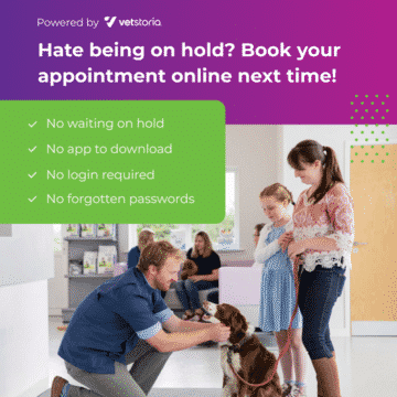 An example of a poster for your clinic to direct pet owners to book online