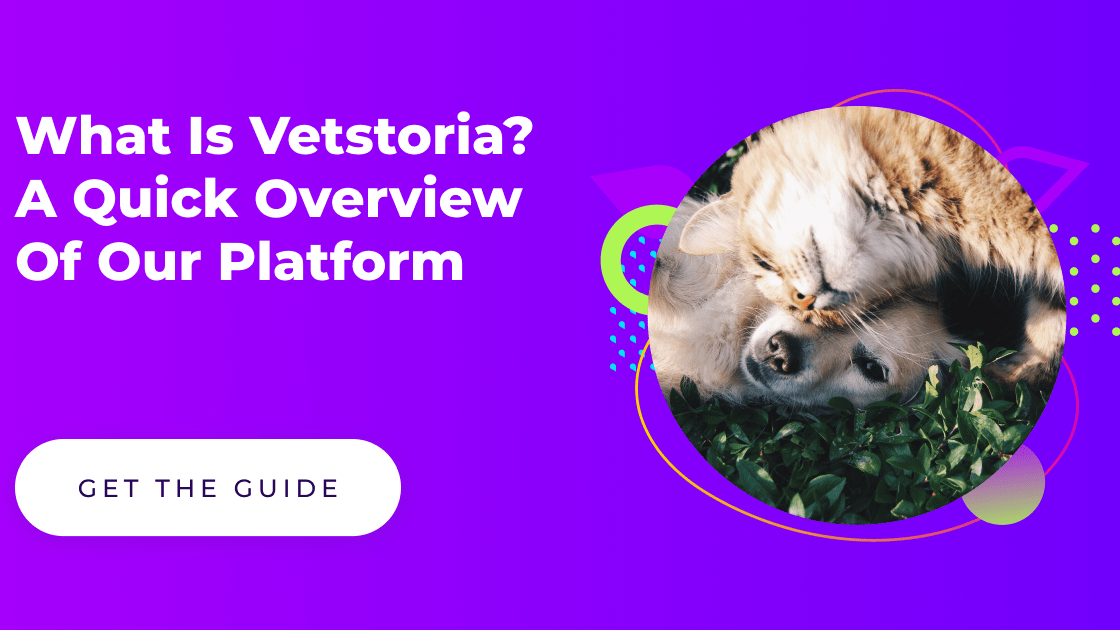 What is Vetstoria - A quick overview of our platform