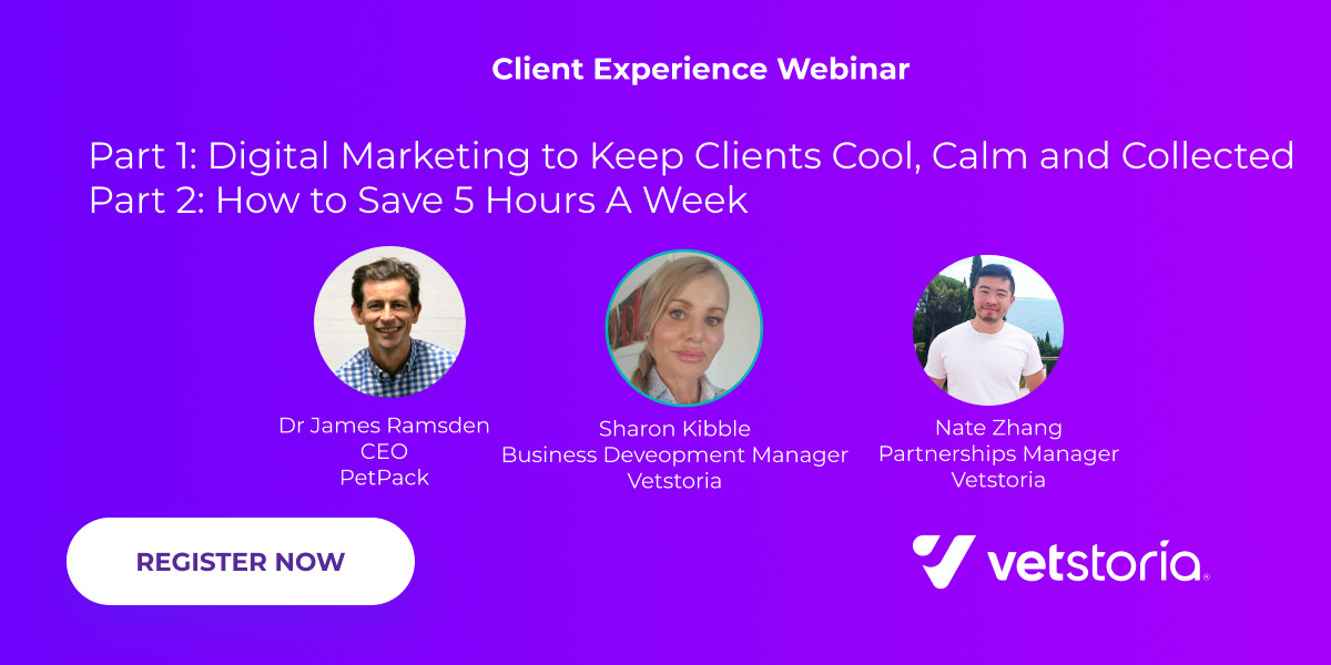 client experience webinar save 5 hours