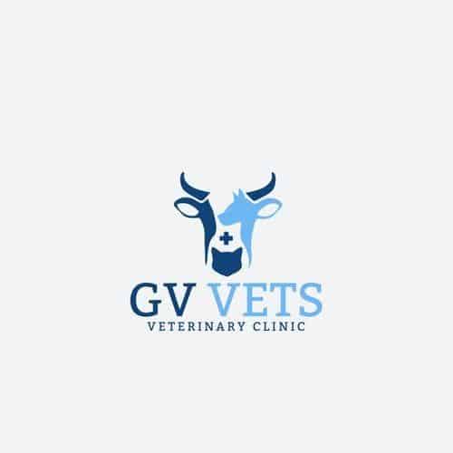 GV Vets logo