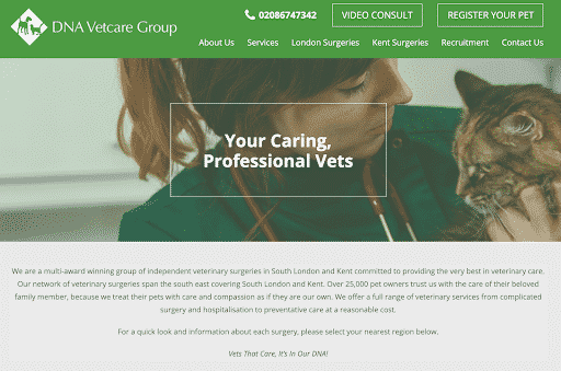 DNA VetCare veterinary website home page