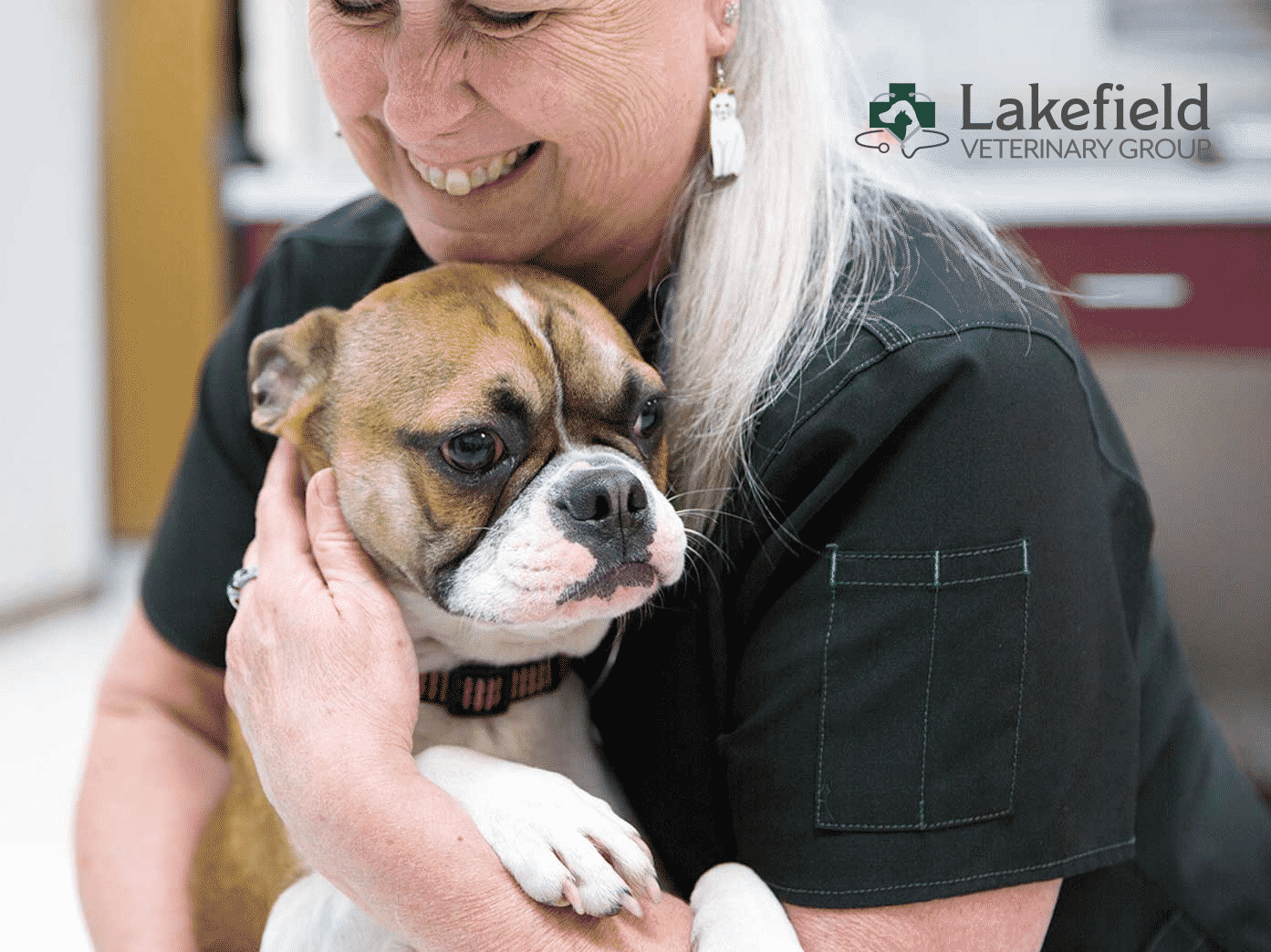 Lakefield Veterinary