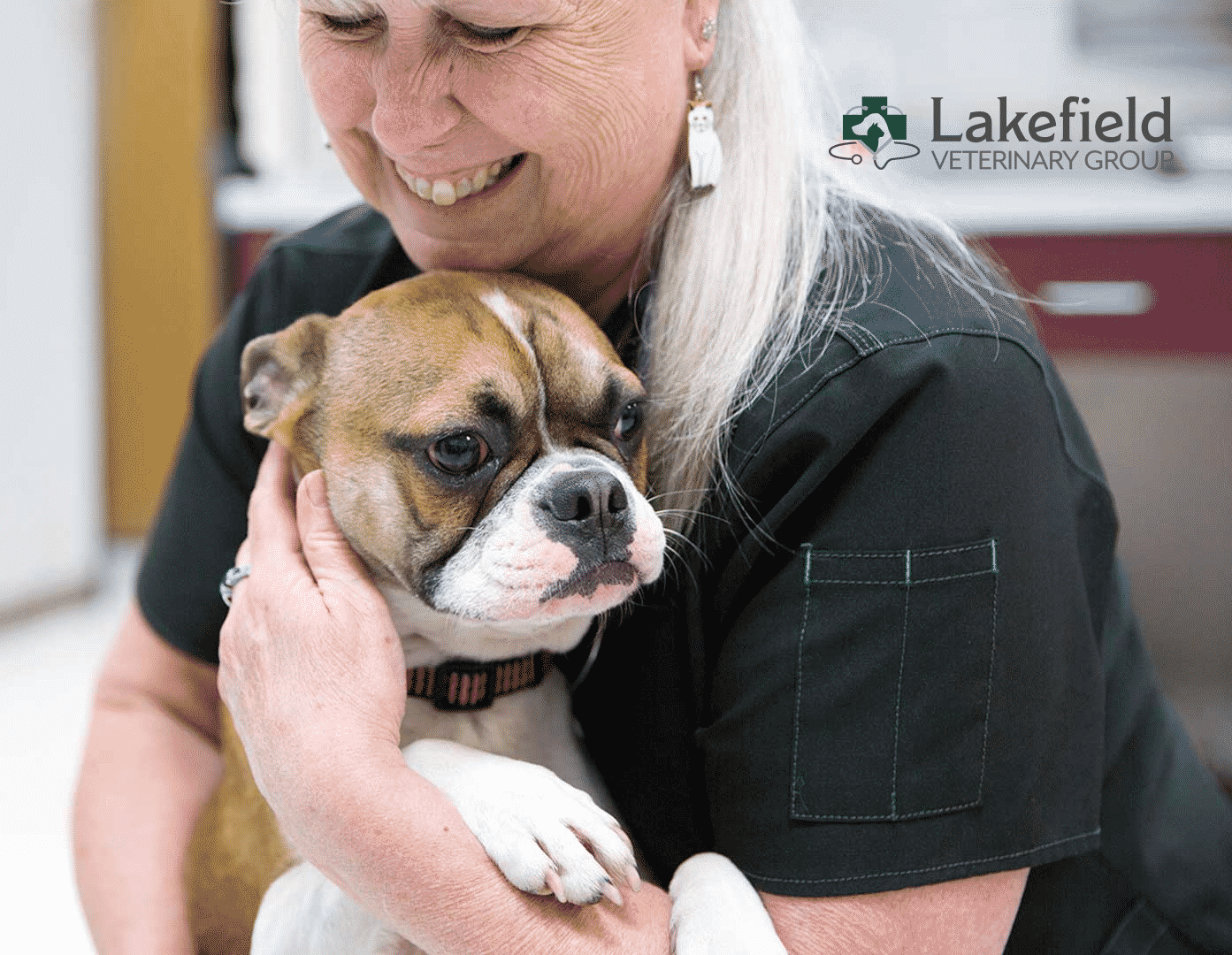 Lakefield Veterinary