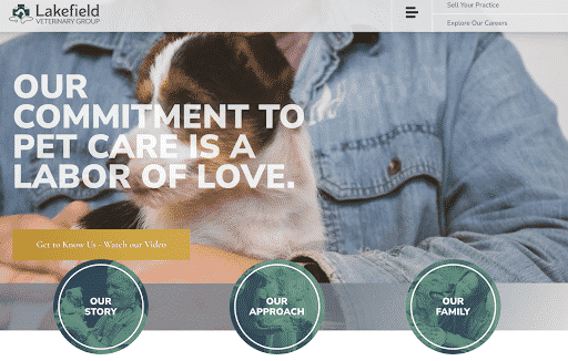 Lakefield Veterinary Group website home page