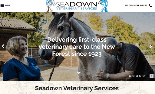 Seadown Vets veterinary website home page