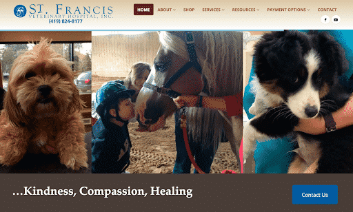 St Francis Veterinary Hospital  website home page