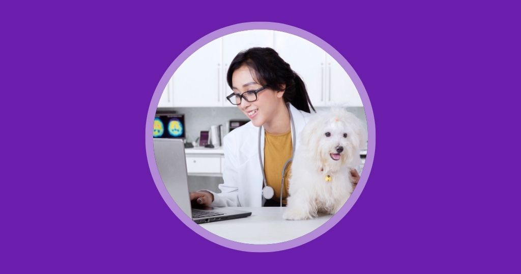 Facebook Ads শেখার গাইড: সফল বিজ্ঞাপনের জন্য সম্পূর্ণ টিপস