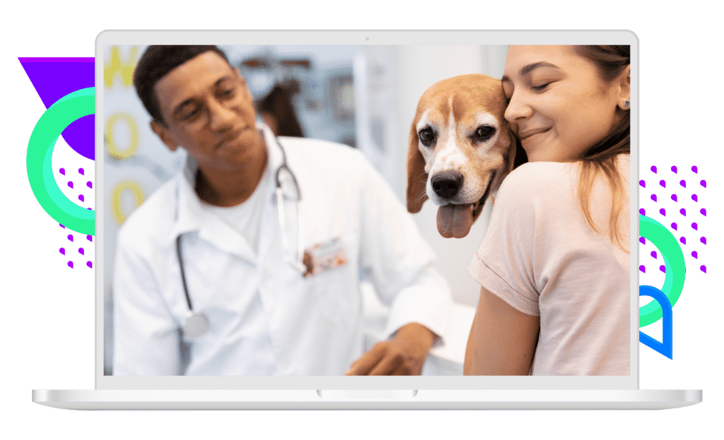 Improve pet owner experience Vetstoria Benefits