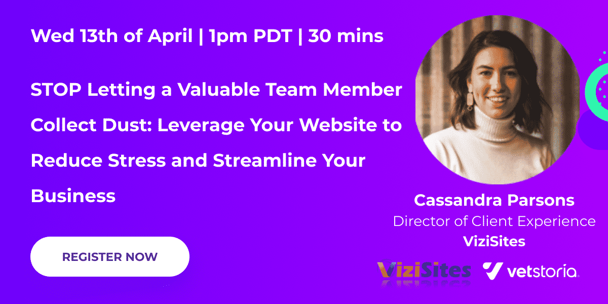 Webinar Header - Vizisites