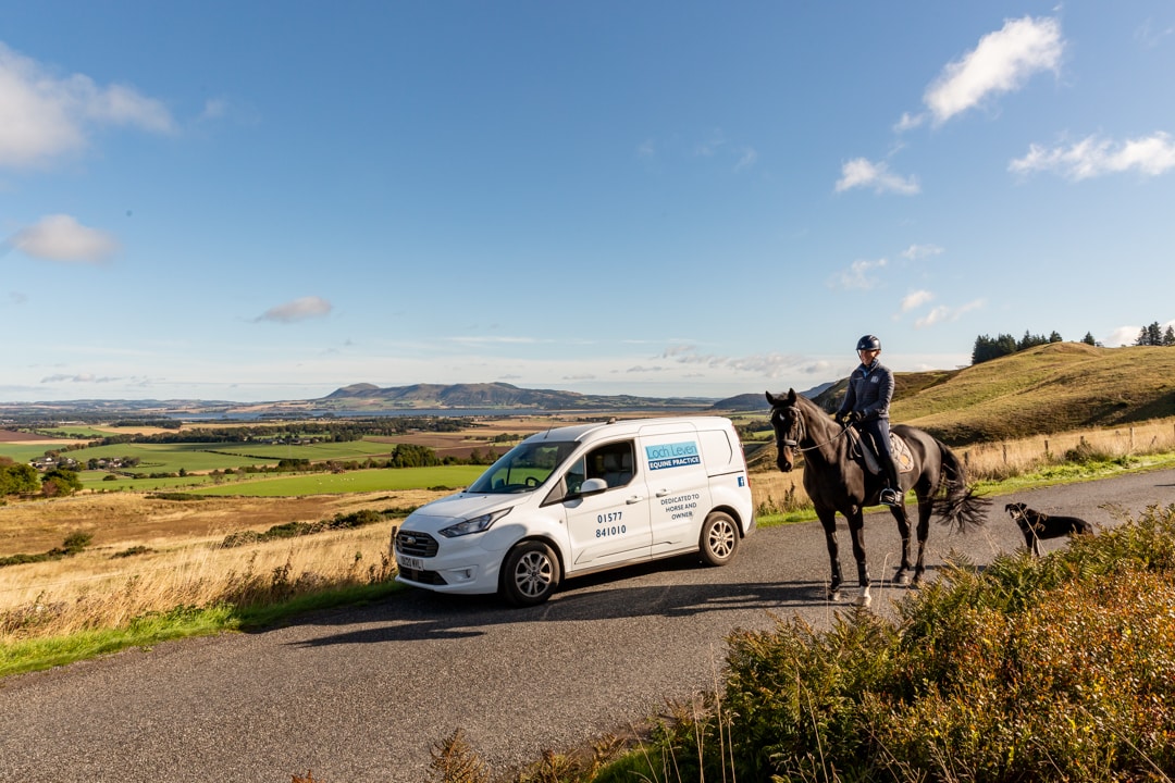 Loch Leven Equine Vets in Scotland