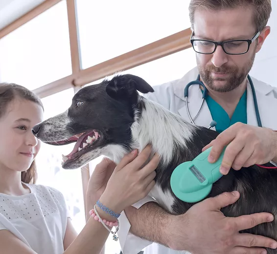 Vet Practice Björn Becker