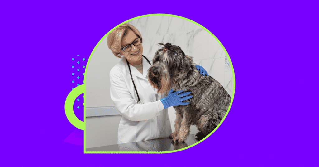 Maintain control of your veterinary schedule with online booking