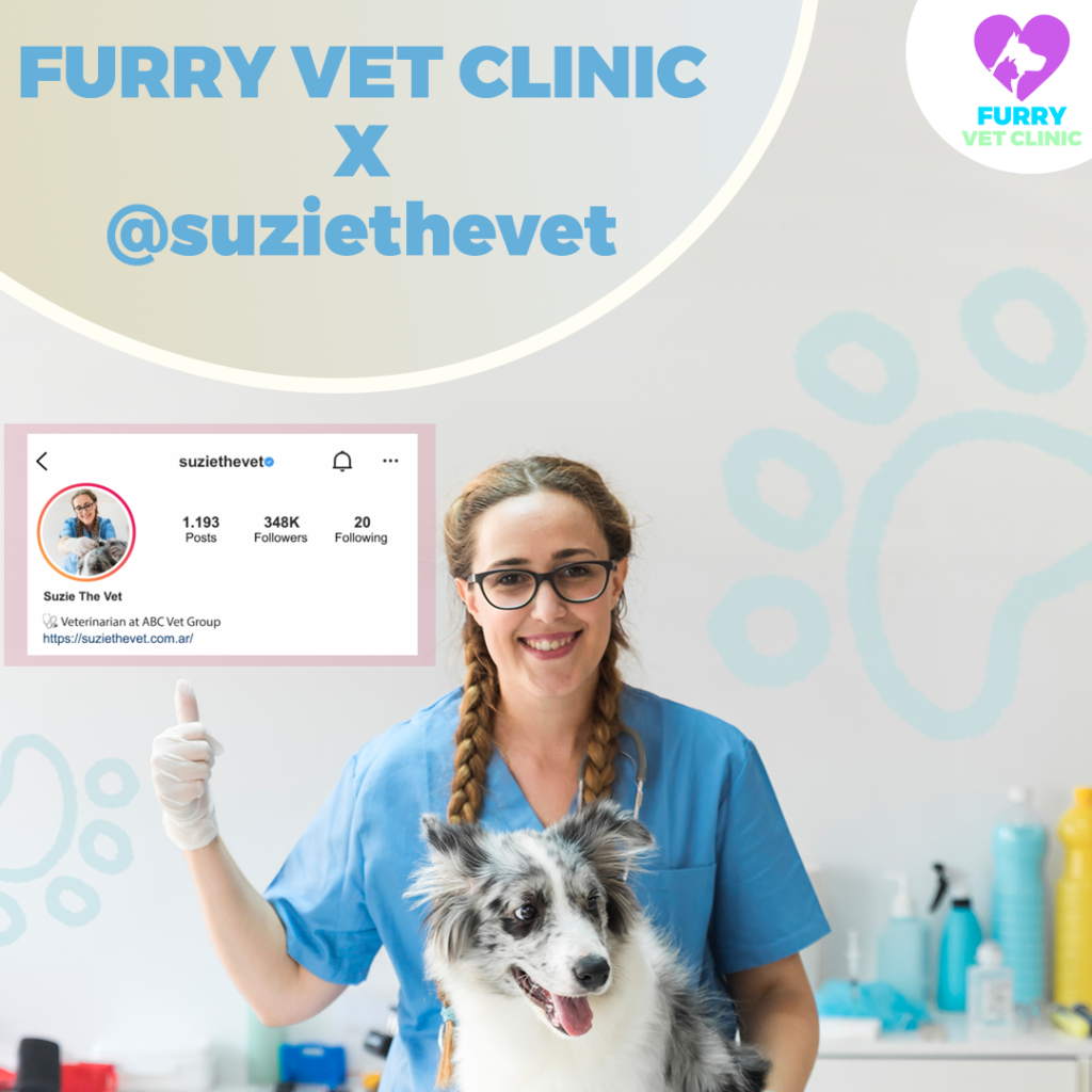 Instagram images can be used to show collaborations between influencers and veterinary clinics