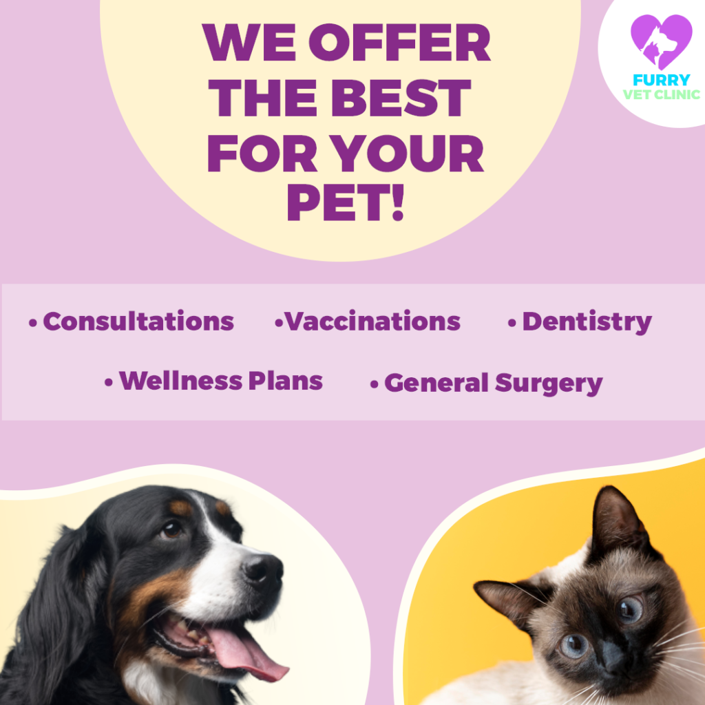 Promote your veterinary services over instagram.