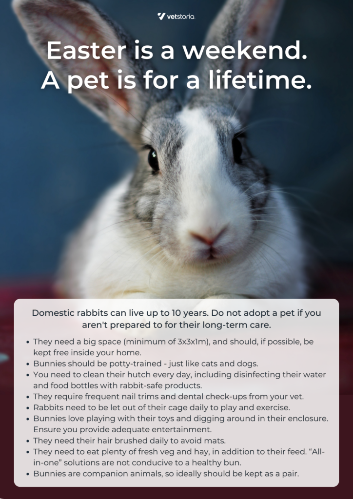 A poster image template from the Easter Content Pack to help vets with veterinary marketing in clinics