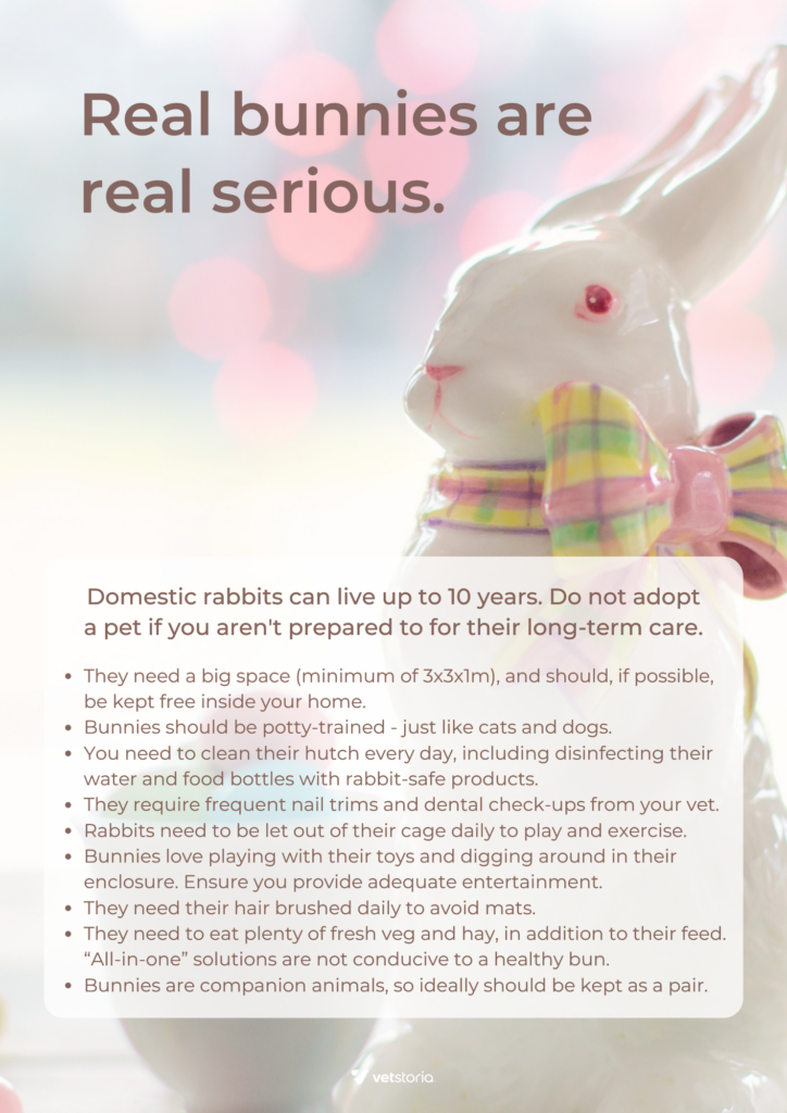 A flyer template from the Easter Content Pack which is a great way of veterinary marketing