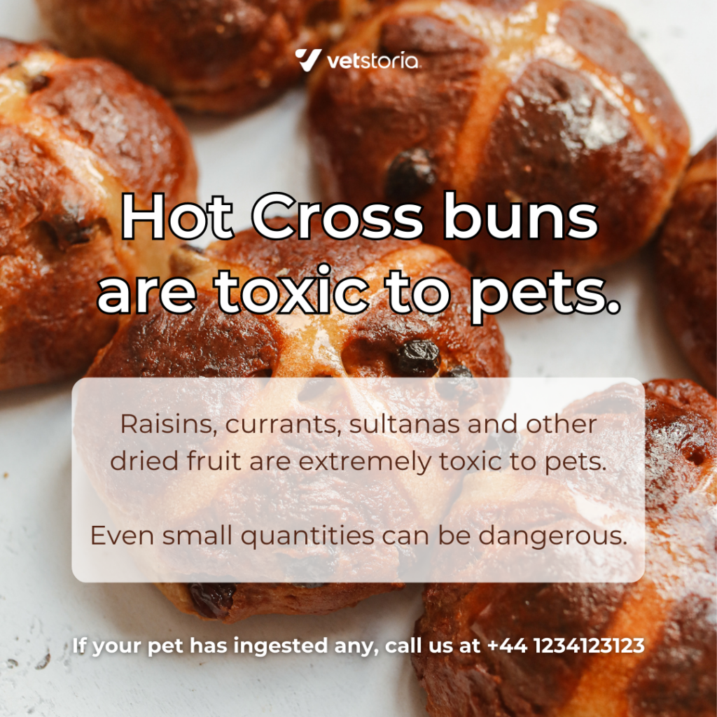 An Instagram image template educating pet owners about the hazards of Easter 