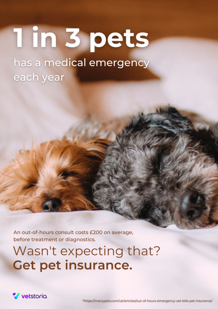 A poster template from the Pet Insurance Content Pack