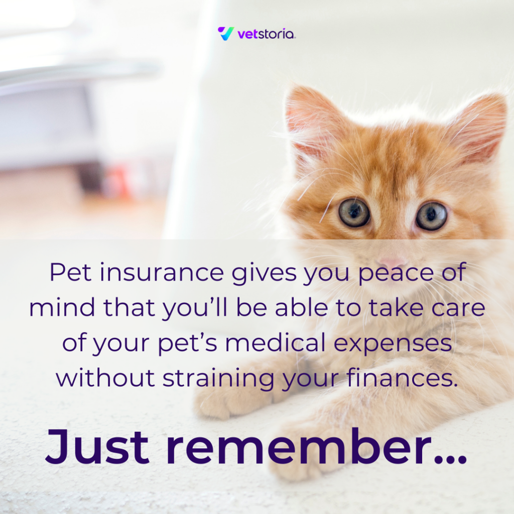 Educating pet owners about pet insurance