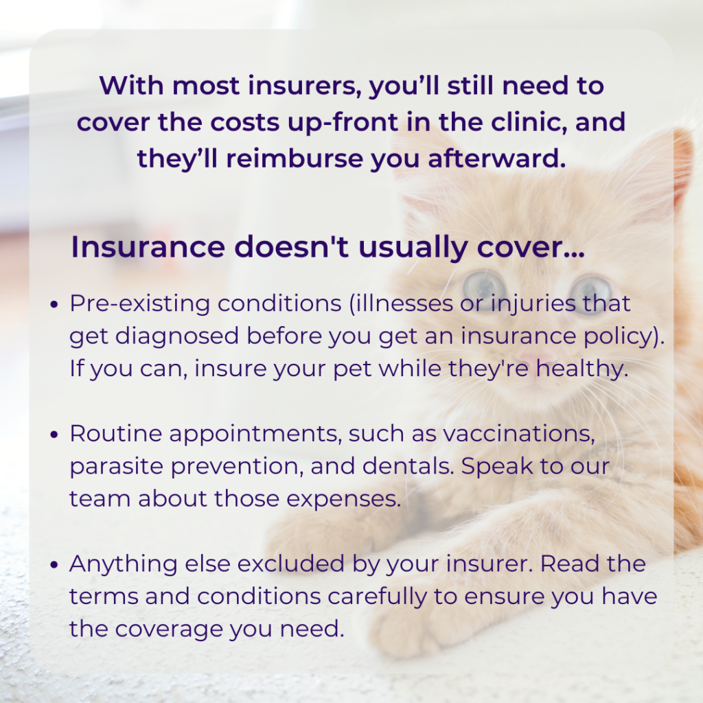 Educating pet owners about pet insurance