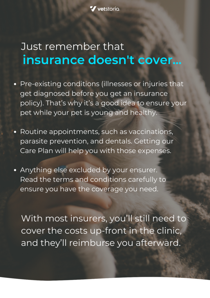 Template of the flyer from Pet Insurance Content Pack
