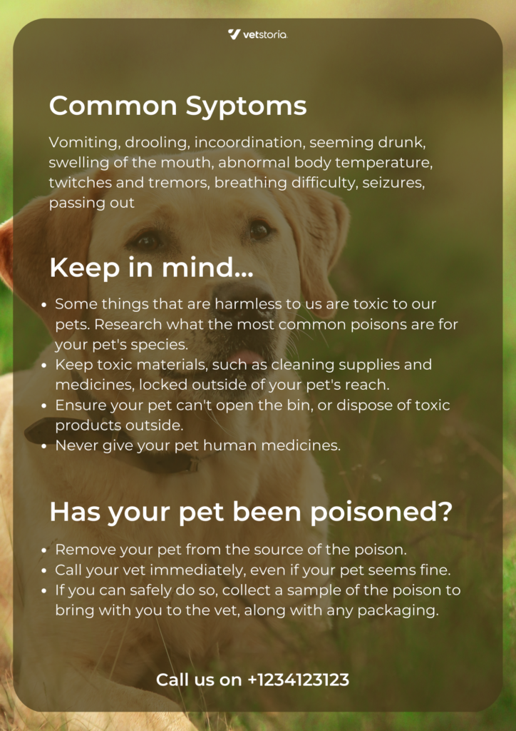 Back page: Template for a flyer for Pet Poison Awareness month