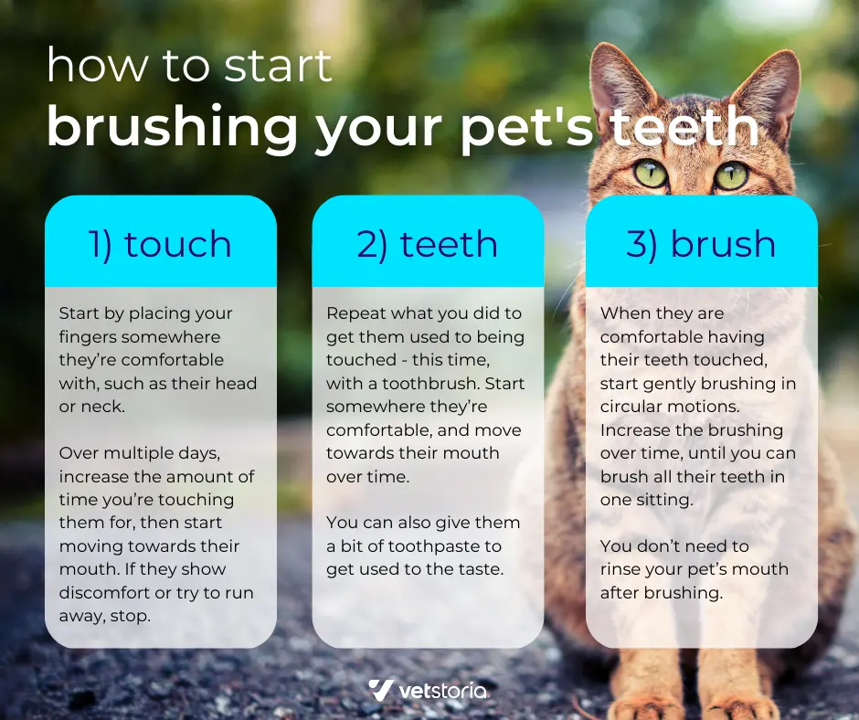 How-to-Brush-Teeth-FACEBOOK